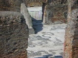 00820 ostia - regio ii - insula iv - terme di nettuno (ii,iv,2) - raum 5 - frigidarium - mosaiken - skylla.jpg